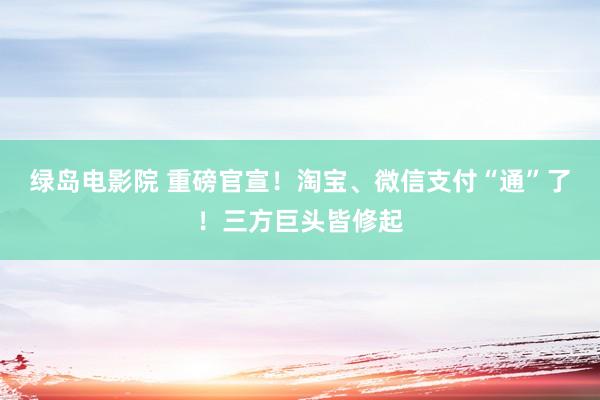 绿岛电影院 重磅官宣！淘宝、微信支付“通”了！三方巨头皆修起