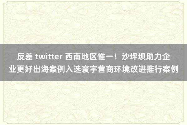 反差 twitter 西南地区惟一！沙坪坝助力企业更好出海案例入选寰宇营商环境改进推行案例