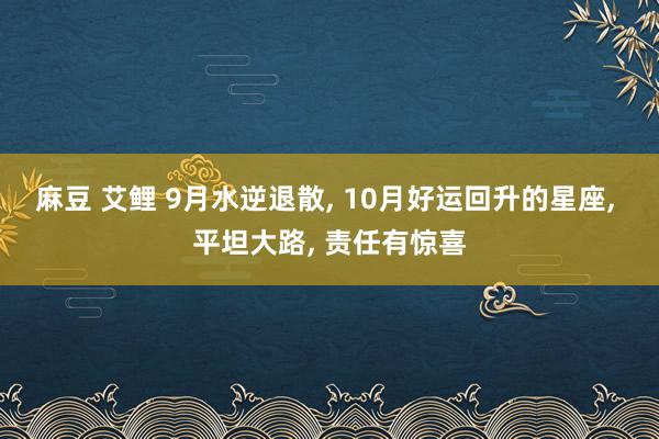 麻豆 艾鲤 9月水逆退散， 10月好运回升的星座， 平坦大路， 责任有惊喜