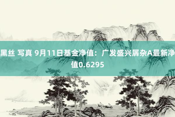 黑丝 写真 9月11日基金净值：广发盛兴羼杂A最新净值0.6295