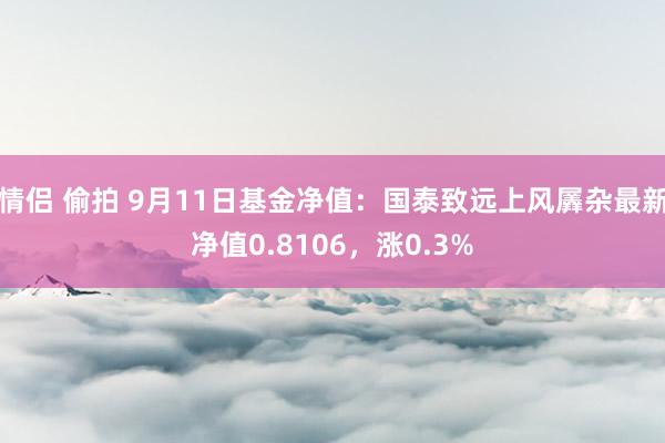 情侣 偷拍 9月11日基金净值：国泰致远上风羼杂最新净值0.8106，涨0.3%