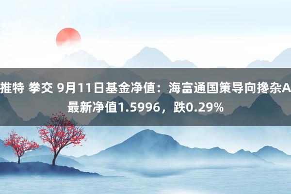 推特 拳交 9月11日基金净值：海富通国策导向搀杂A最新净值1.5996，跌0.29%