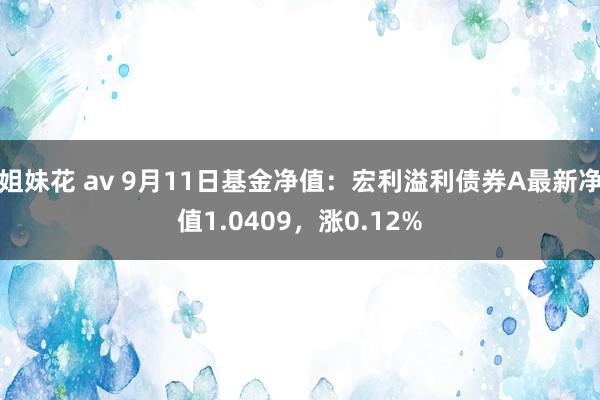 姐妹花 av 9月11日基金净值：宏利溢利债券A最新净值1.0409，涨0.12%