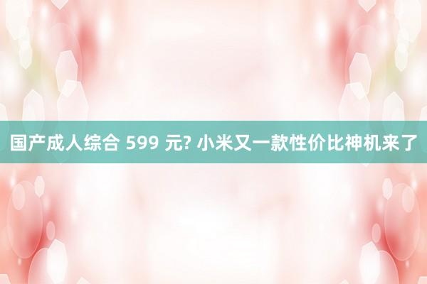 国产成人综合 599 元? 小米又一款性价比神机来了