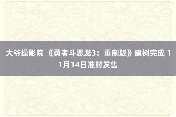 大爷操影院 《勇者斗恶龙3：重制版》建树完成 11月14日准时发售