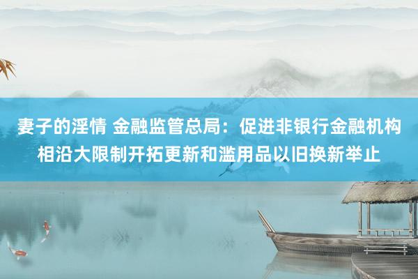 妻子的淫情 金融监管总局：促进非银行金融机构相沿大限制开拓更新和滥用品以旧换新举止