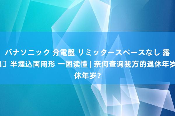 パナソニック 分電盤 リミッタースペースなし 露出・半埋込両用形 一图读懂 | 奈何查询我方的退休年岁？