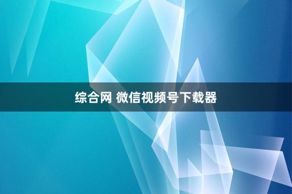 综合网 微信视频号下载器