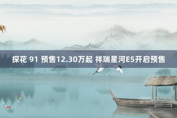 探花 91 预售12.30万起 祥瑞星河E5开启预售