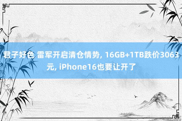 君子好色 雷军开启清仓情势， 16GB+1TB跌价3063元， iPhone16也要让开了