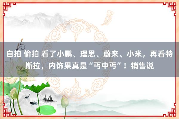 自拍 偷拍 看了小鹏、理思、蔚来、小米，再看特斯拉，内饰果真是“丐中丐”！销售说