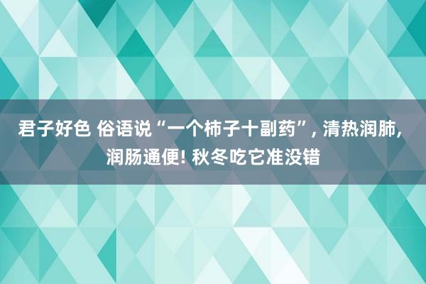 君子好色 俗语说“一个柿子十副药”， 清热润肺， 润肠通便! 秋冬吃它准没错