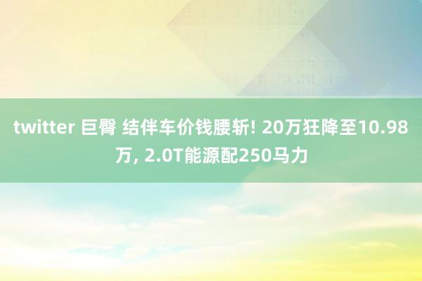 twitter 巨臀 结伴车价钱腰斩! 20万狂降至10.98万， 2.0T能源配250马力