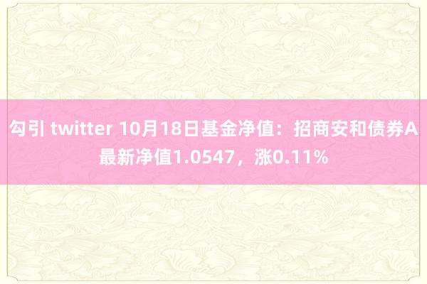 勾引 twitter 10月18日基金净值：招商安和债券A最新净值1.0547，涨0.11%