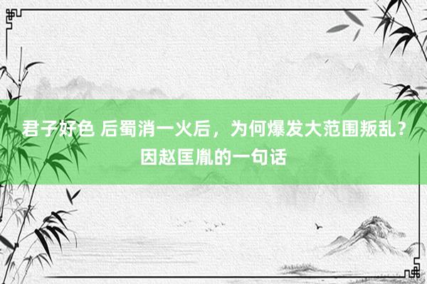 君子好色 后蜀消一火后，为何爆发大范围叛乱？因赵匡胤的一句话