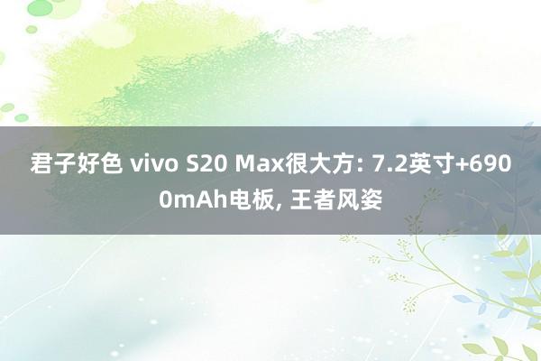 君子好色 vivo S20 Max很大方: 7.2英寸+6900mAh电板， 王者风姿