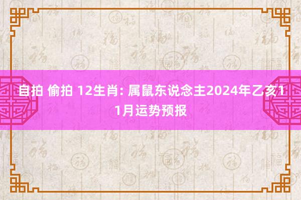 自拍 偷拍 12生肖: 属鼠东说念主2024年乙亥11月运势预报